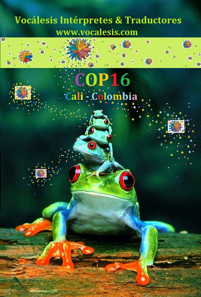 COP16-Cali-2024-VOCALESIS-INTERPRETERS-VCLXS-Frogs