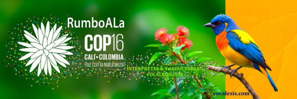 Vocalesis-DV9-RUMBO-COP16-CALI-COLOMBIA-2024-02