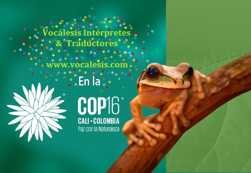 Vocalesis-DV9-RUMBO-COP16-CALI-COLOMBIA-2024-VCLXS-14