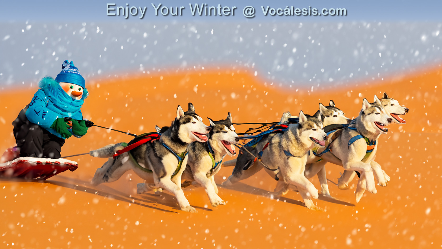 Snowman dogsled AI - Vocalesis Traductores