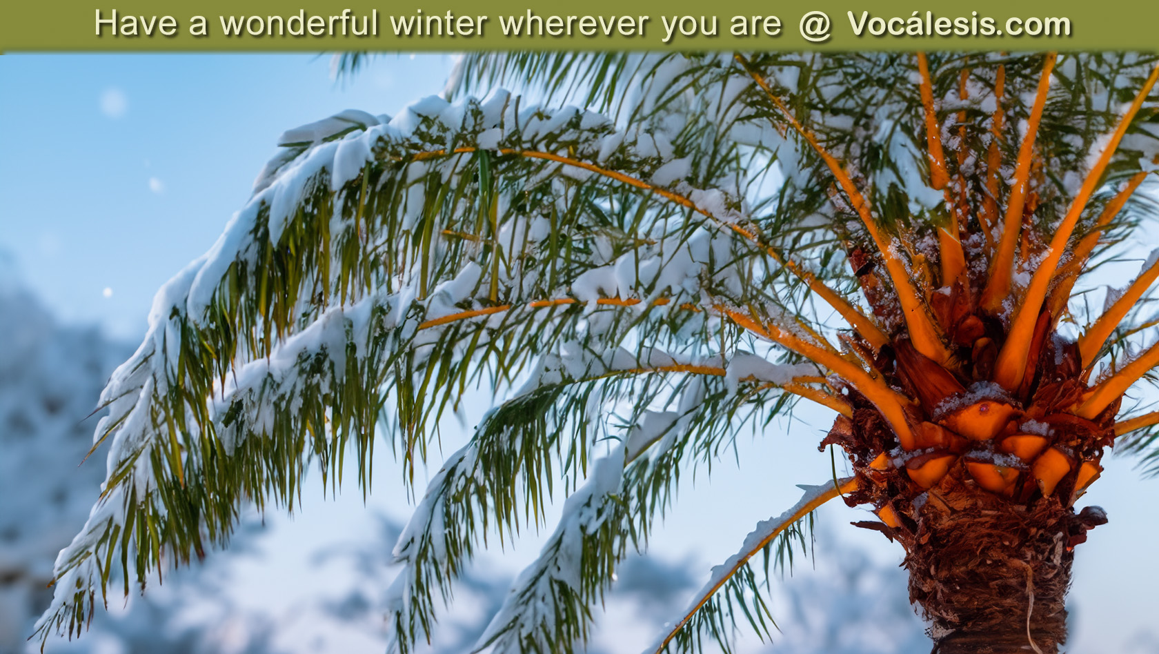 Vocalesis Interpreters - have a wonderful winter