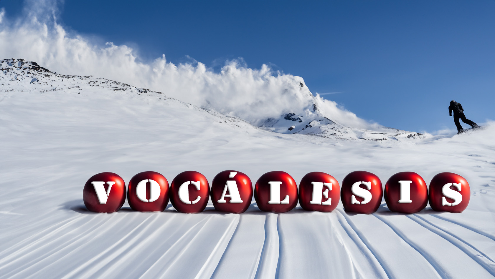 Winter at Vocalesis - interpreters