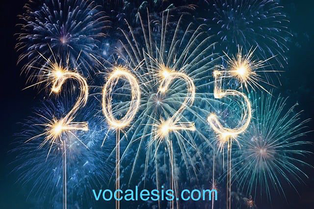 Fireworks happy new year vocalesis interpreters