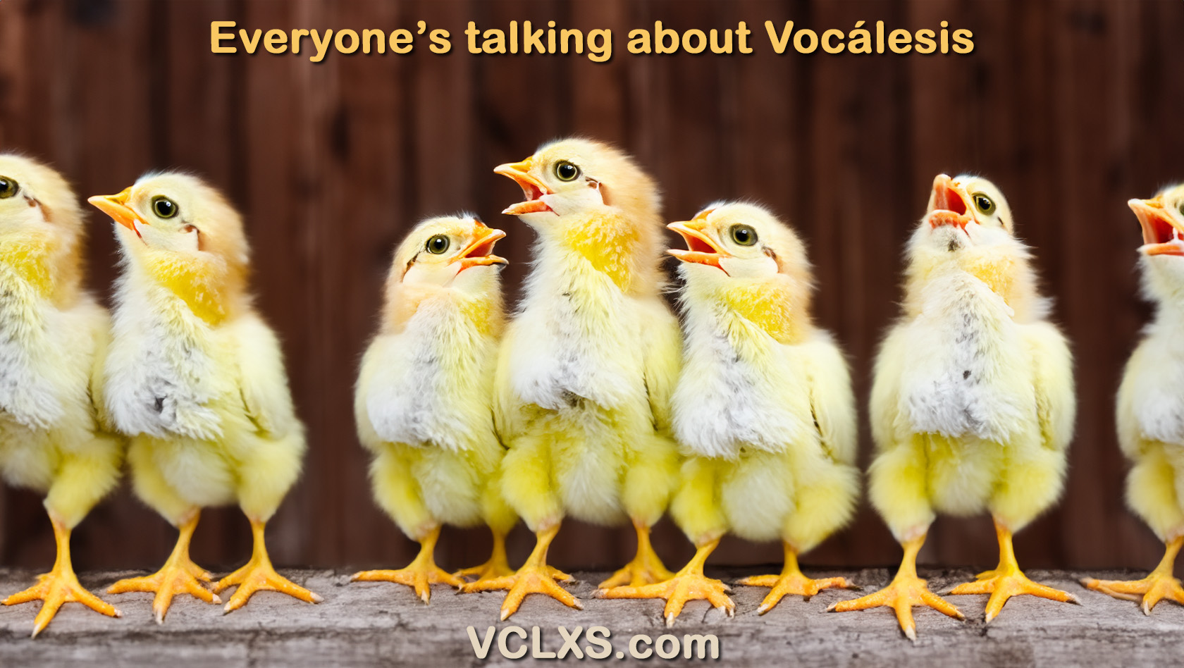 SPRING AI Vocalesis Interpreters and translators VCLXS