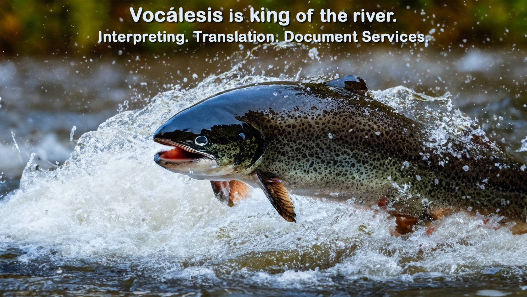 SPRING AI Vocalesis Interpreters and translators - king of the river