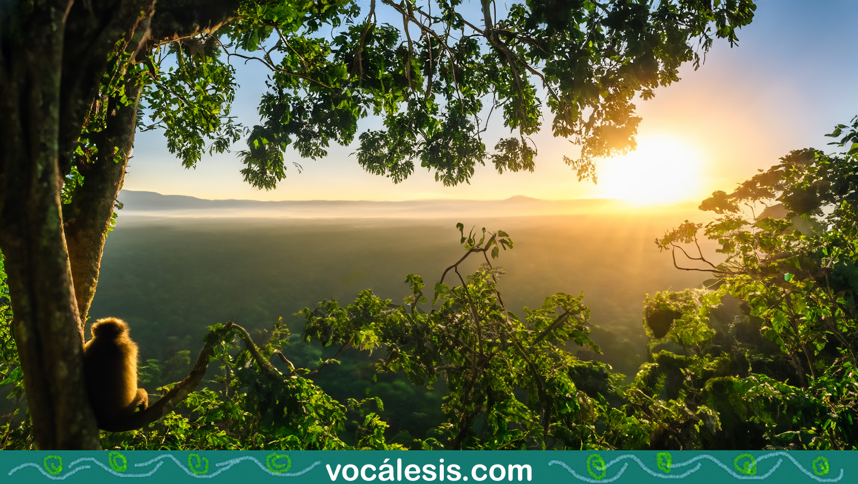 Vocalesis Traductores Summer AI amazon monkey sunrise