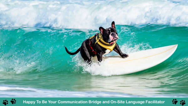 Vocalesis Interpreters Summer AI beach dogs surfing