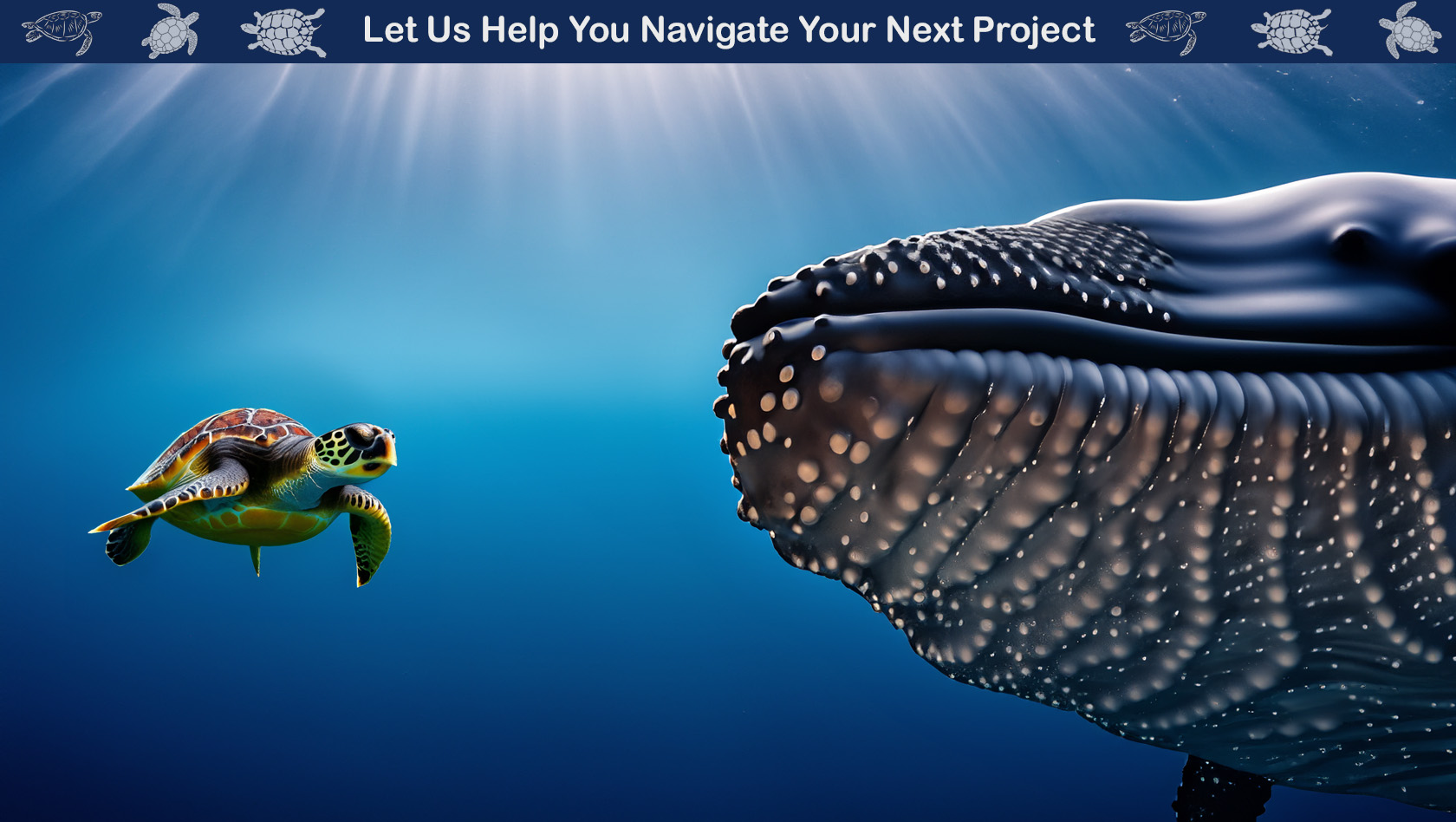 Vocalesis Traductores Summer AI turtle whale navigate project
