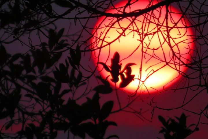 m11-sunset_zomogy-pixabay